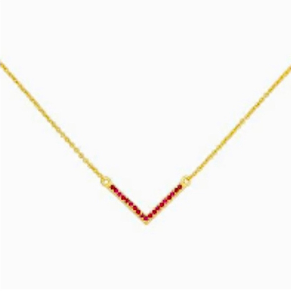 NWT Uncommon James Baby V Necklace